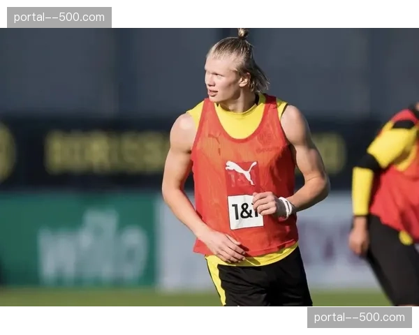 三中卫体系全面普及应对冲击 纵深保护对抗哈兰德式前锋